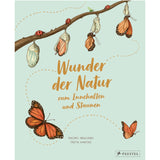 Buchcover-Wunder-der-Natur-Schmetterling-in-verschiedenen-Puppphasen