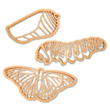 Detailaufnahme-Knetausstecher-Lebenszyklus-Schmetterlinge